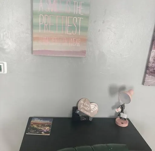Apartment Lovely Indoor Fpl W/ Bbq / Firepit Near Fsu & Famu *