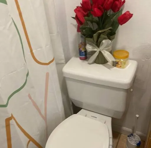 Lovely Indoor Fpl W/ Bbq / Firepit Near Fsu & Famu * Tallahassee