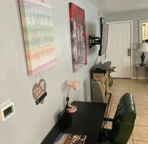 Lovely Indoor Fpl W/ Bbq / Firepit Near Fsu & Famu Apartment *